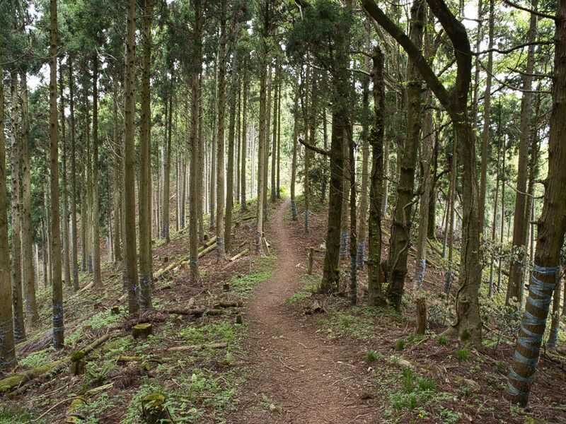 File:Shizugatake28.jpg
