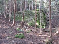 AnrakujiYakata (2).JPG