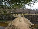 Hagicastle17.jpg