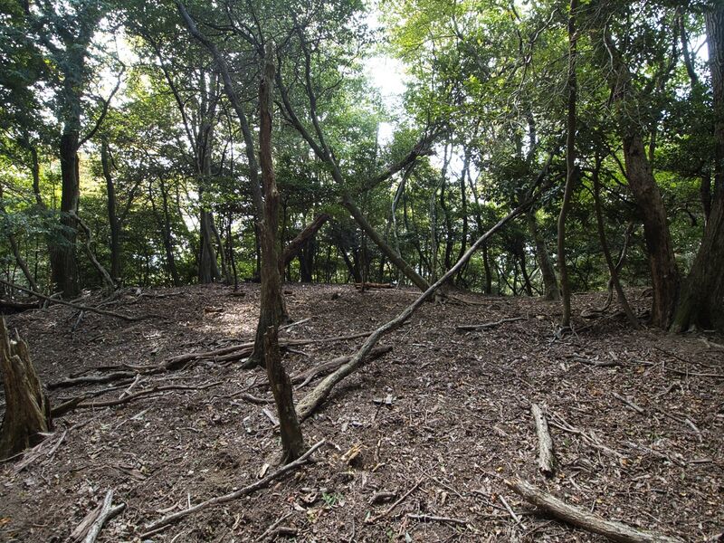 File:Ichijojiyama5.jpg