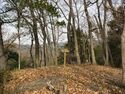 Kaseyamakyoto29.jpg