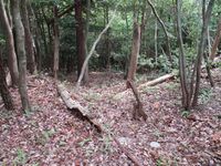 MikawaKoganejou (2).jpg