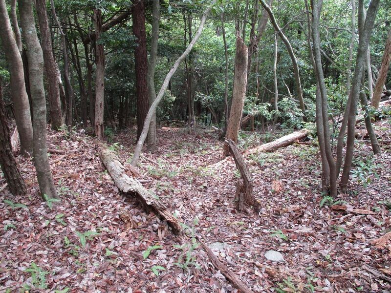 File:MikawaKoganejou (2).jpg