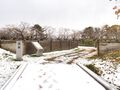Thumbnail for version as of 10:28, 24 January 2021