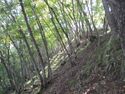 Ohiwajou (40).JPG