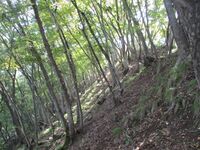 Ohiwajou (40).JPG