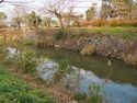 Sasayama10.jpg