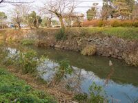 Sasayama10.jpg