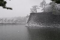 Snow2.jpg