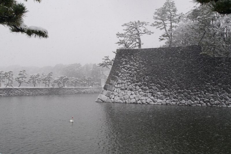 File:Snow2.jpg