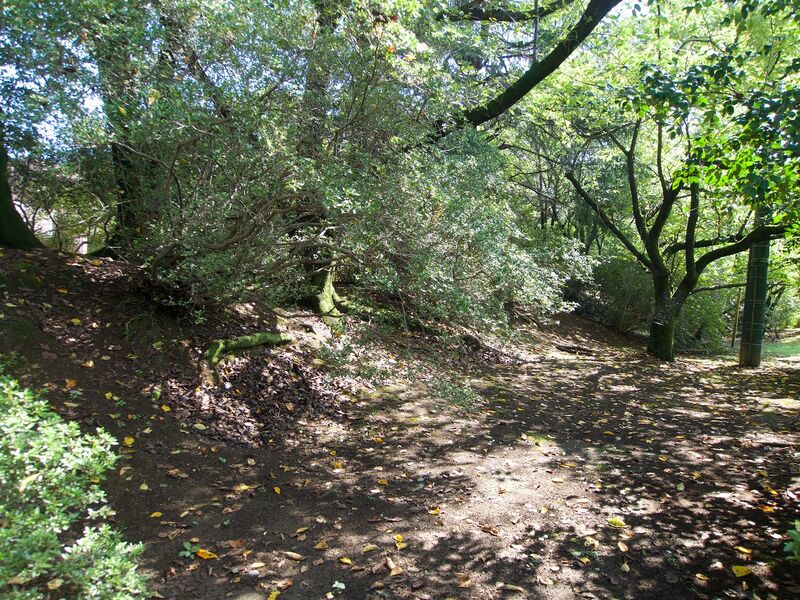 File:Tatebayashi18.jpg