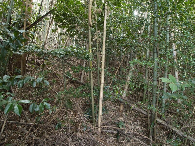 File:Kuboyashiki4.jpg