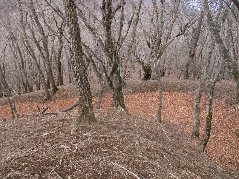 File:MisakajouA (1.5).jpg