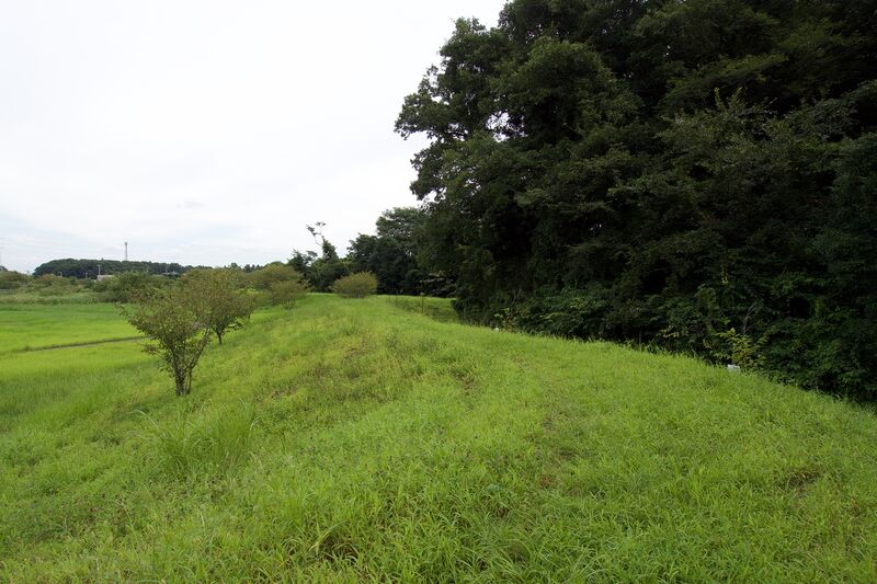 File:Moriya1.jpg