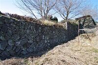 Ojima3.jpg