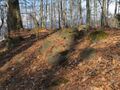 Thumbnail for version as of 07:11, 29 April 2020
