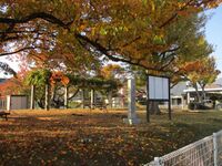 Wakatsukisatojou (6).jpg