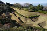 Yamanaka8.jpg