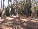 山吹小城15.5sannokuruwa.JPG