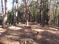 山吹小城15.5sannokuruwa.JPG