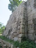 Hanakuma (9).JPG