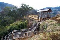 Izunagahama14.jpg