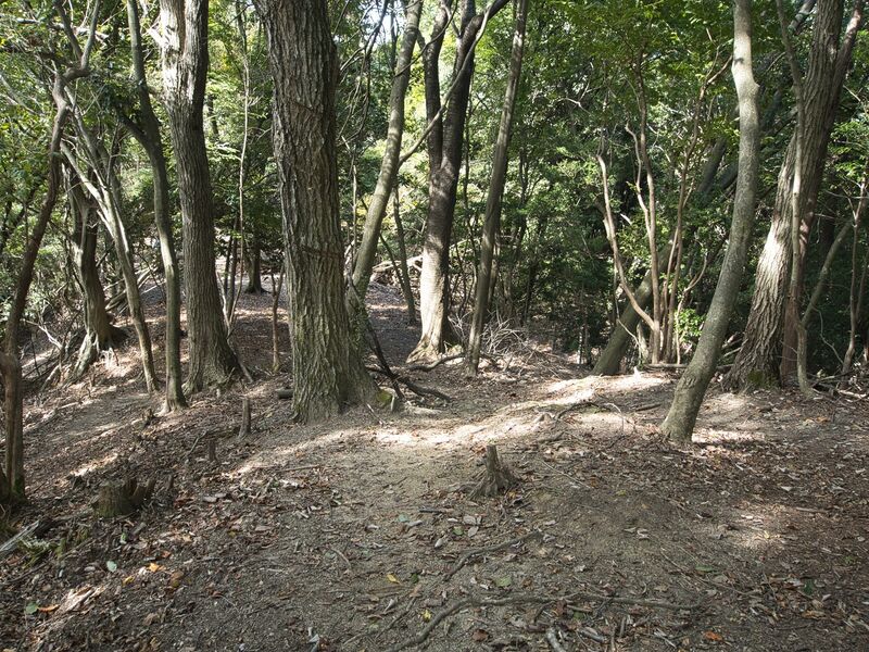 File:Kirarazaka17.jpg