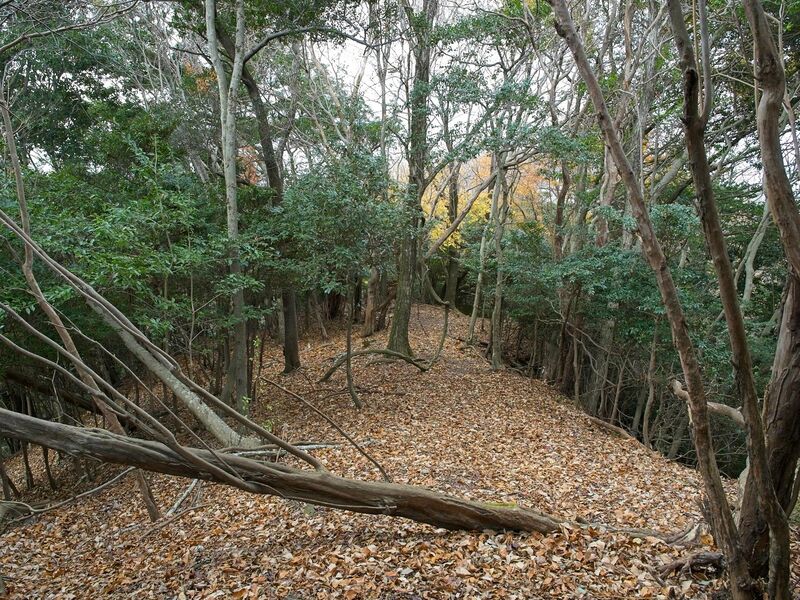 File:Nakaokyoto17.jpg