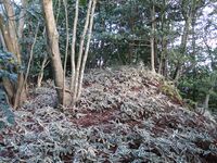 OumiAokiYakata (2).JPG