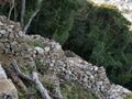 Thumbnail for version as of 07:21, 7 June 2024