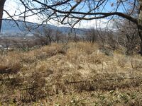 SuwaImorijou (6).JPG