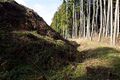 Thumbnail for version as of 13:33, 24 June 2017