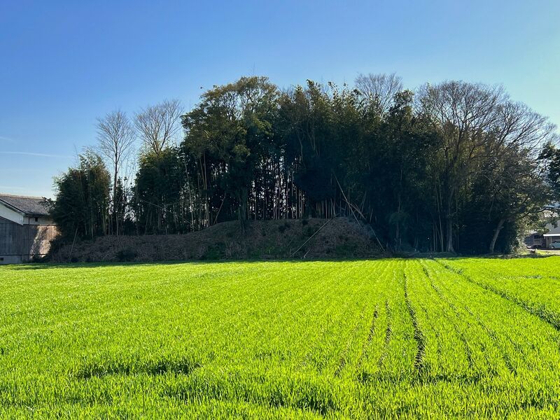 File:Yamanakakoka6.jpg