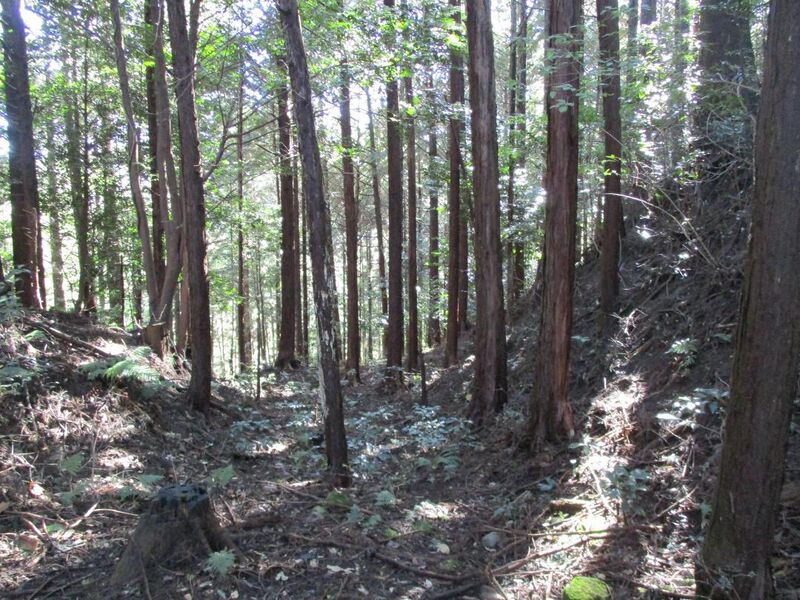 File:Daikanyashikijou004.jpg