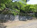 GamouMinamitsudajou (9).JPG