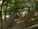 Haiyama7.jpg