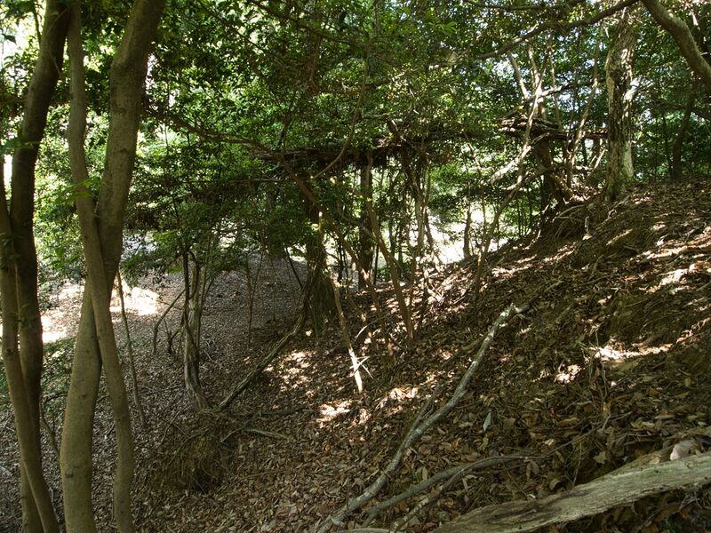 File:Haiyama7.jpg