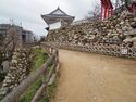 Hamamatsu13.jpg