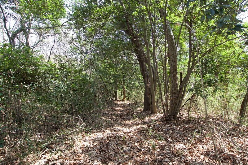 File:Hanazonomitake3.jpg
