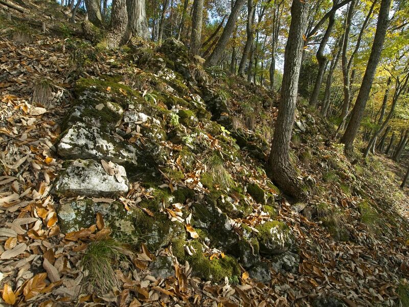 File:Kamaha32.jpg