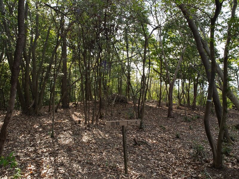 File:Kaseyamakyoto66.jpg