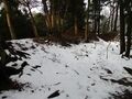 Thumbnail for version as of 14:14, 17 April 2023