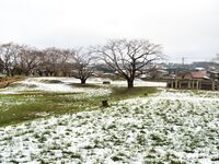 Namioka20.jpg