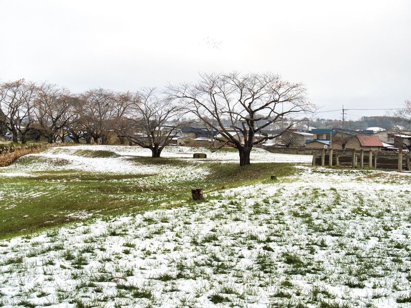 File:Namioka20.jpg