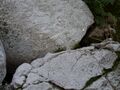 Thumbnail for version as of 13:00, 11 July 2020