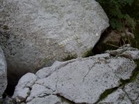 Ogaki31.jpg