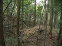 Ogawanishinokoka16.jpg