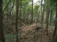 Ogawanishinokoka16.jpg