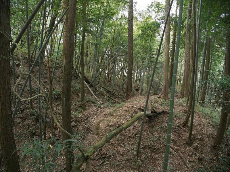 File:Ogawanishinokoka16.jpg