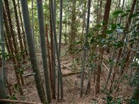 Okudanitanba3.jpg
